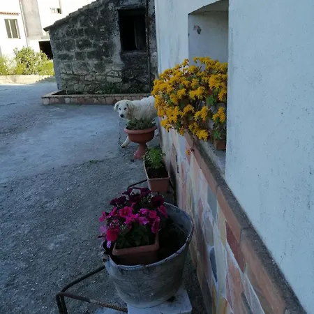 Apartment Casa Dani - Accogliente *