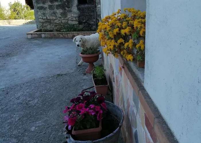 公寓 Casa Dani - Accogliente *