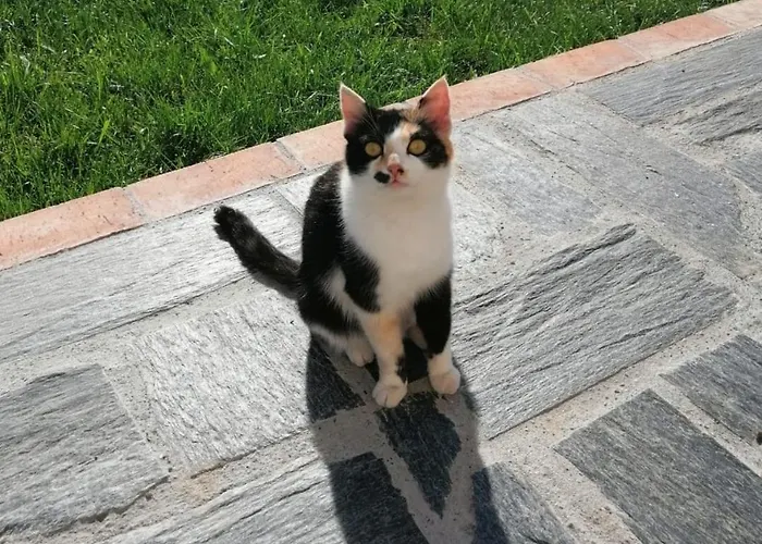 公寓 Casa Dani - Accogliente 卡坦扎罗