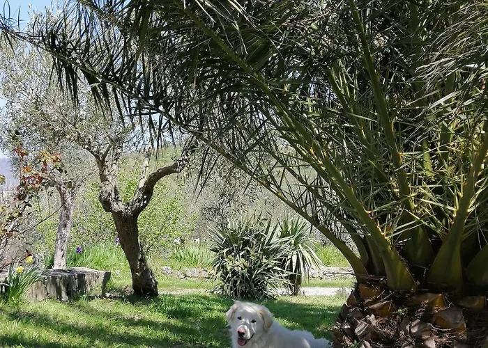 Casa Dani - Accogliente *